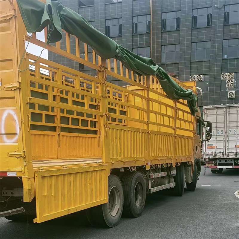 大朗镇吉安市物流：多元服务与高效运输线路探秘