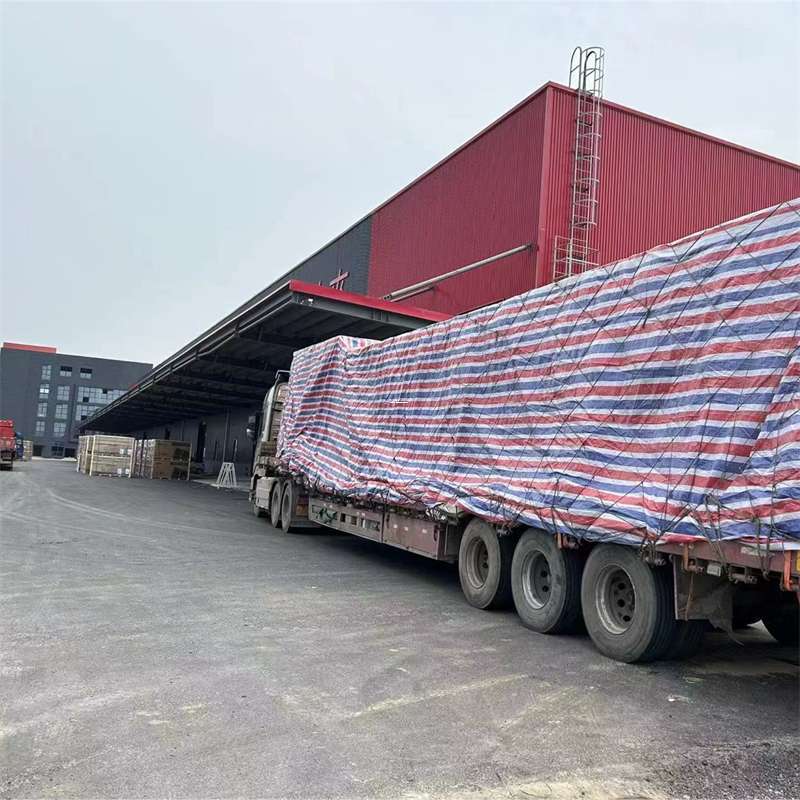 大朗镇渝中区物流：多元服务与运输线路探秘