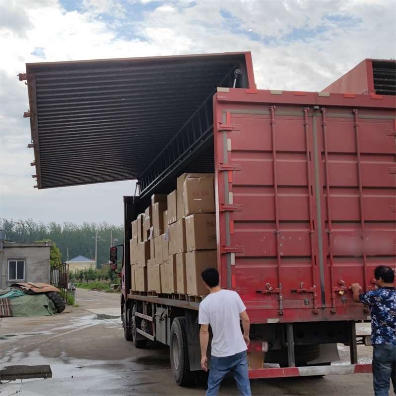 大朗镇扎囊县：物流专线的高效货运之旅